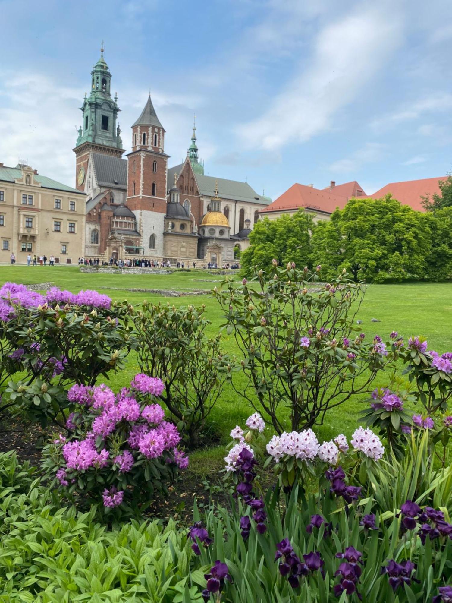 Art Inn Space Kraków Zewnętrze zdjęcie